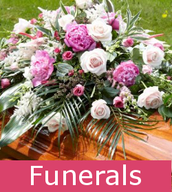 click here