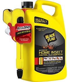 pest control woking